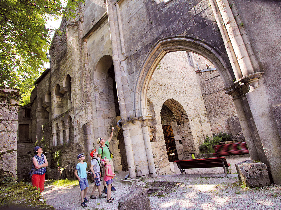 Ancienne abbaye Saint-Pierre / Fabrique d'Anis