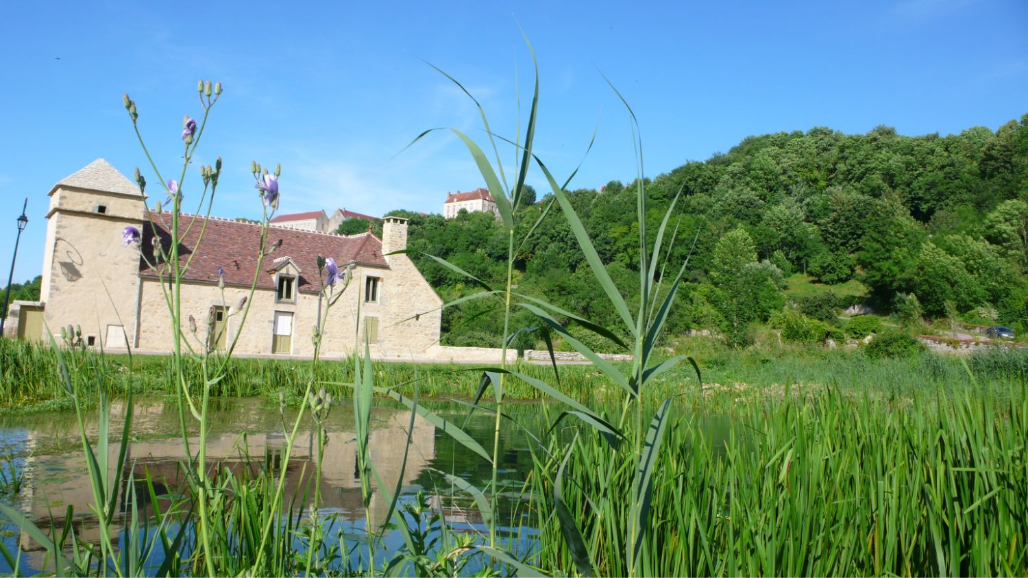 Histoire de Flavigny