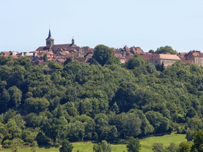 Vue de Flavigny-sur-Ozerain