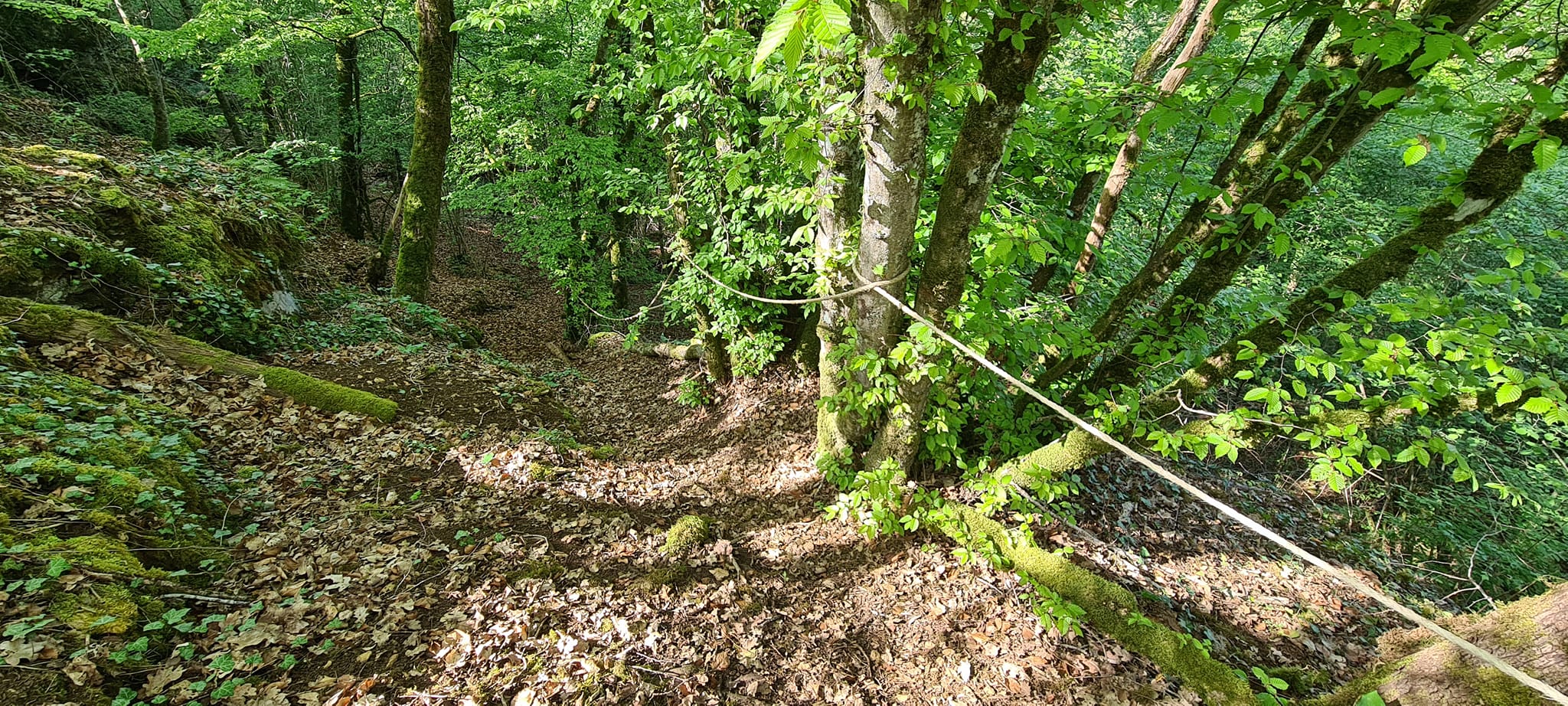 Des balades en toutes saisons
